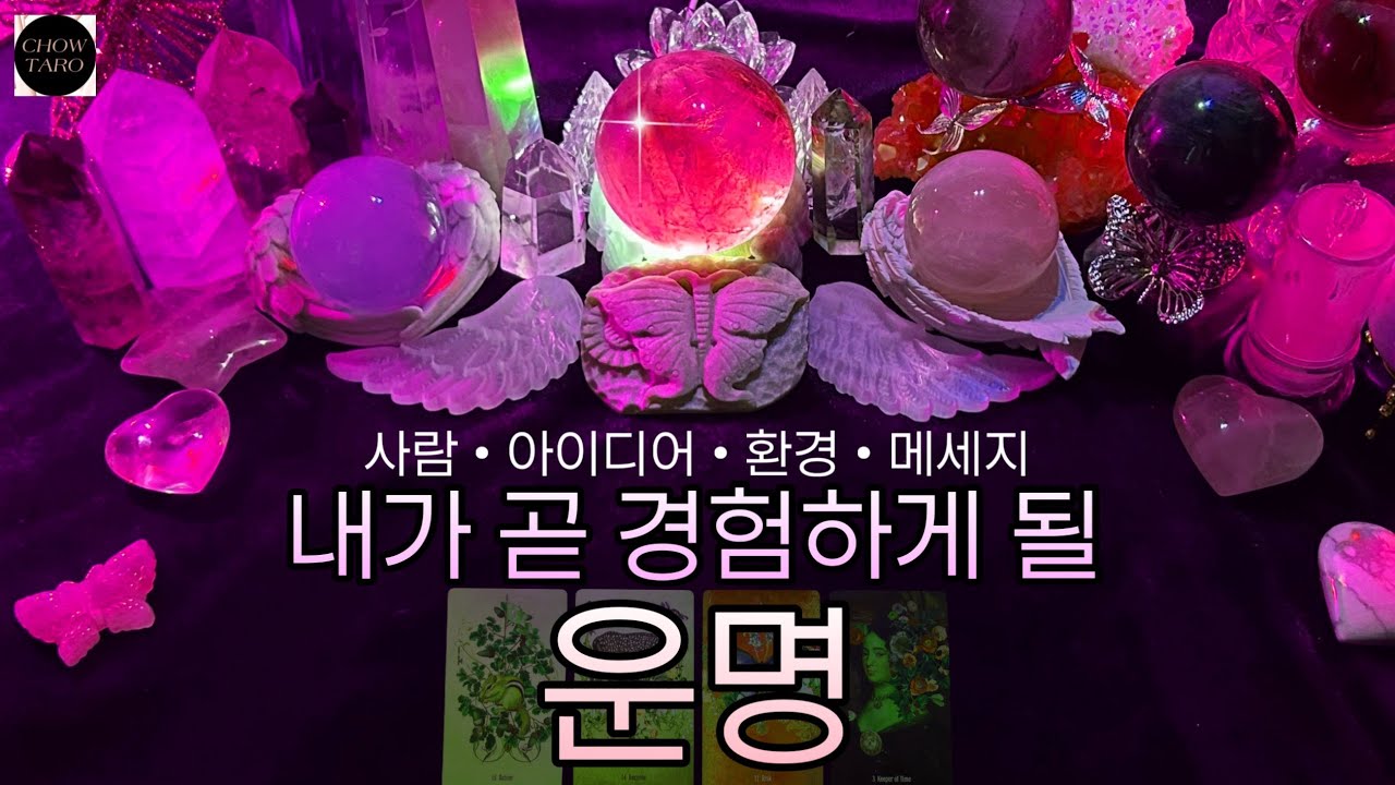 [타로]🦋내가 겪게 될 정해져 있는 운명, 당신의 운명의 계획과 미래 하게 될 경험을 알려 드립니다🔮