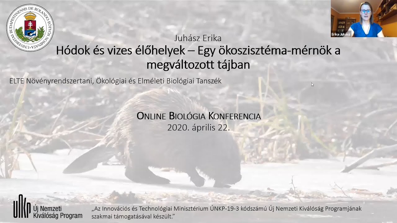 Juhász Erika: Hódok és vizes élőhelyek - Egy ökoszisztéma-mérnök a megváltozott tájban