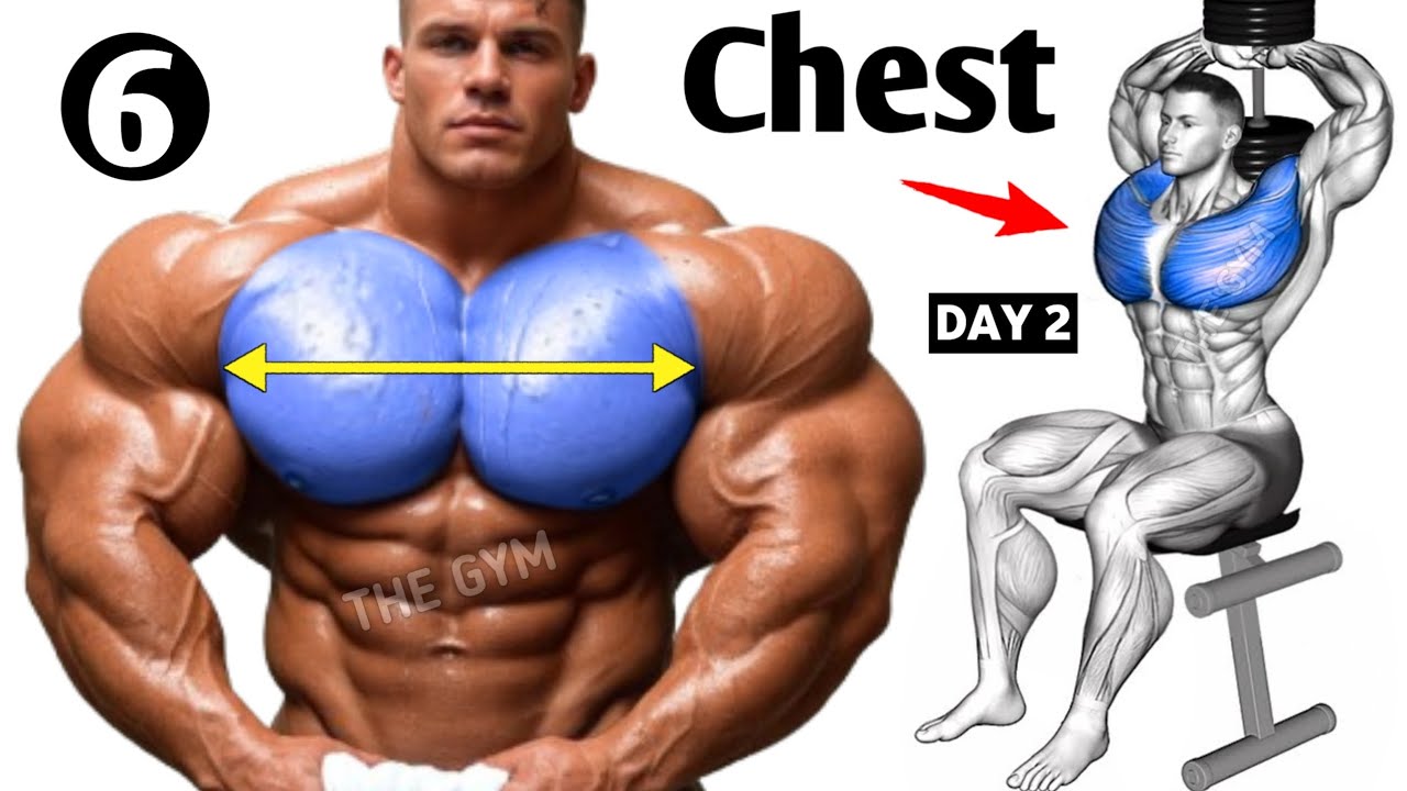 6 Fastest Chest Workout at Gym - THE GYM