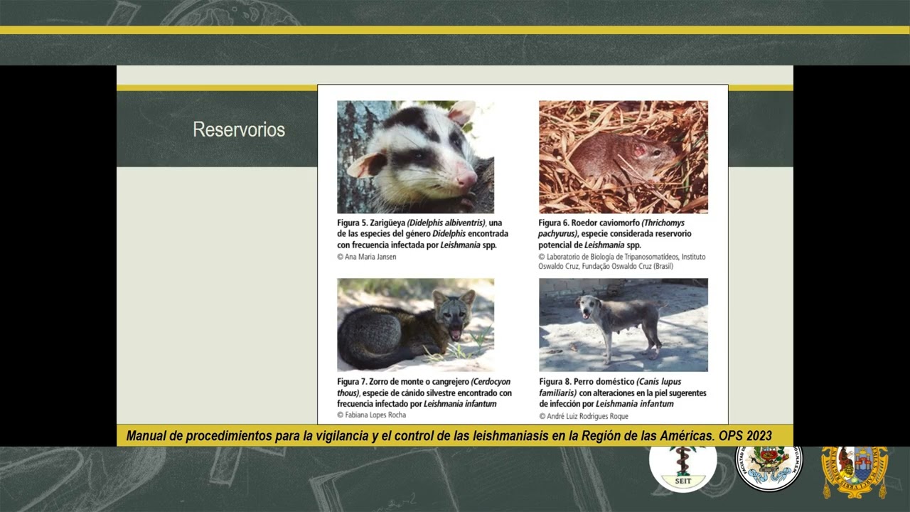 LEISHMANIASIS prueba 1