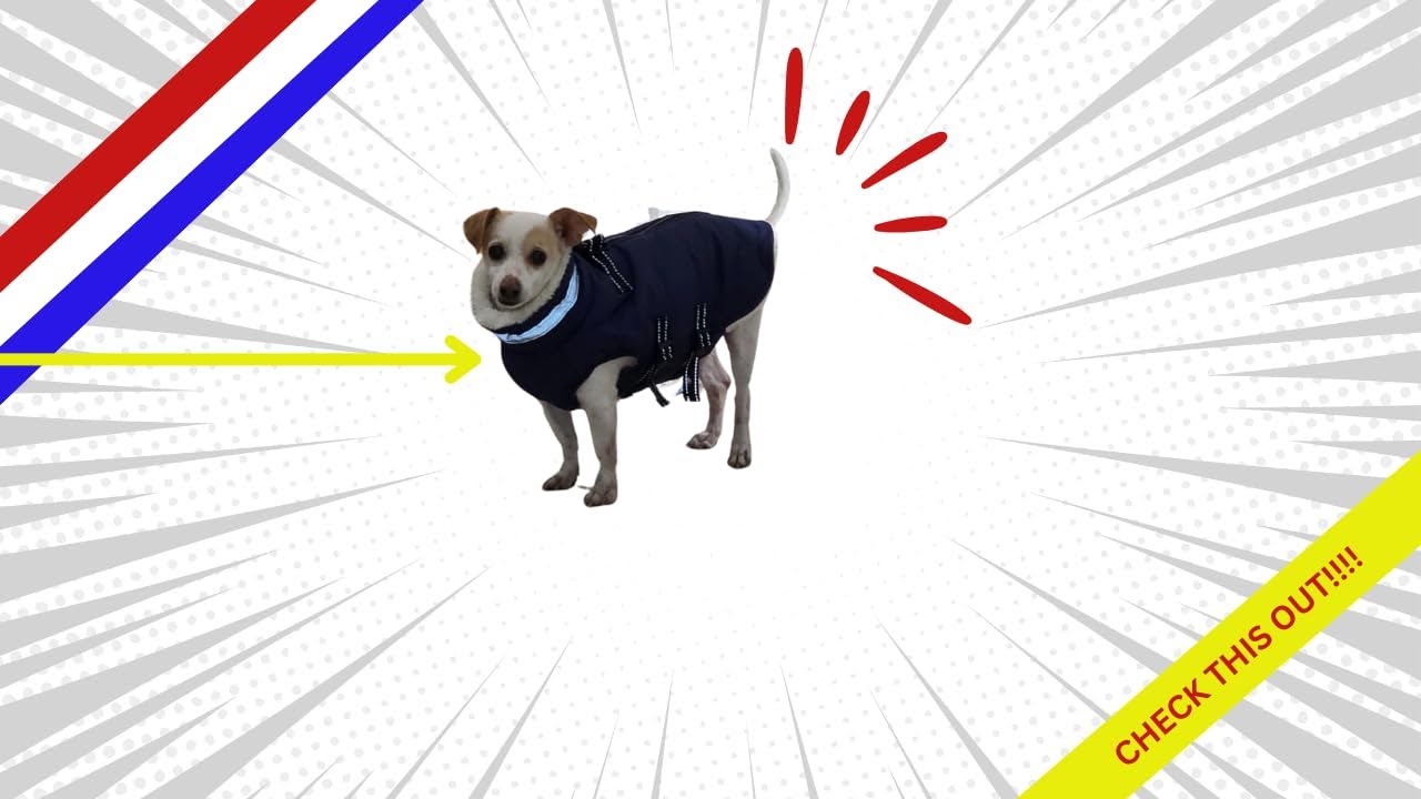 DogCheer Doggie Rain Jacket Waterproof Rain Coat for Dogs
