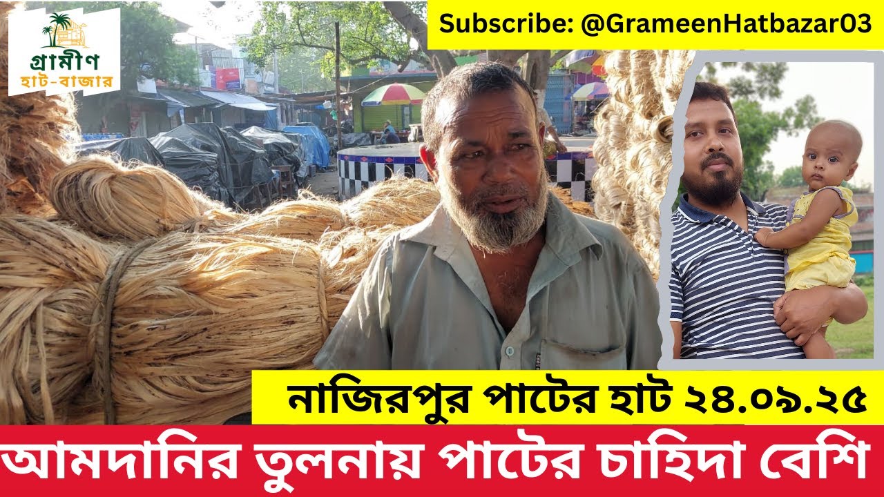 আমদানির তুলনায় চাহিদা বেশি | দামও ভালো | নাজিরপুর পাটের বাজার আপডেট ২৪.০৯.২০২৫