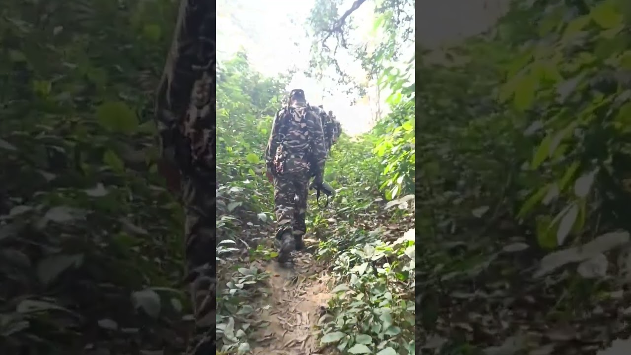 Jungle Duty of SSB  