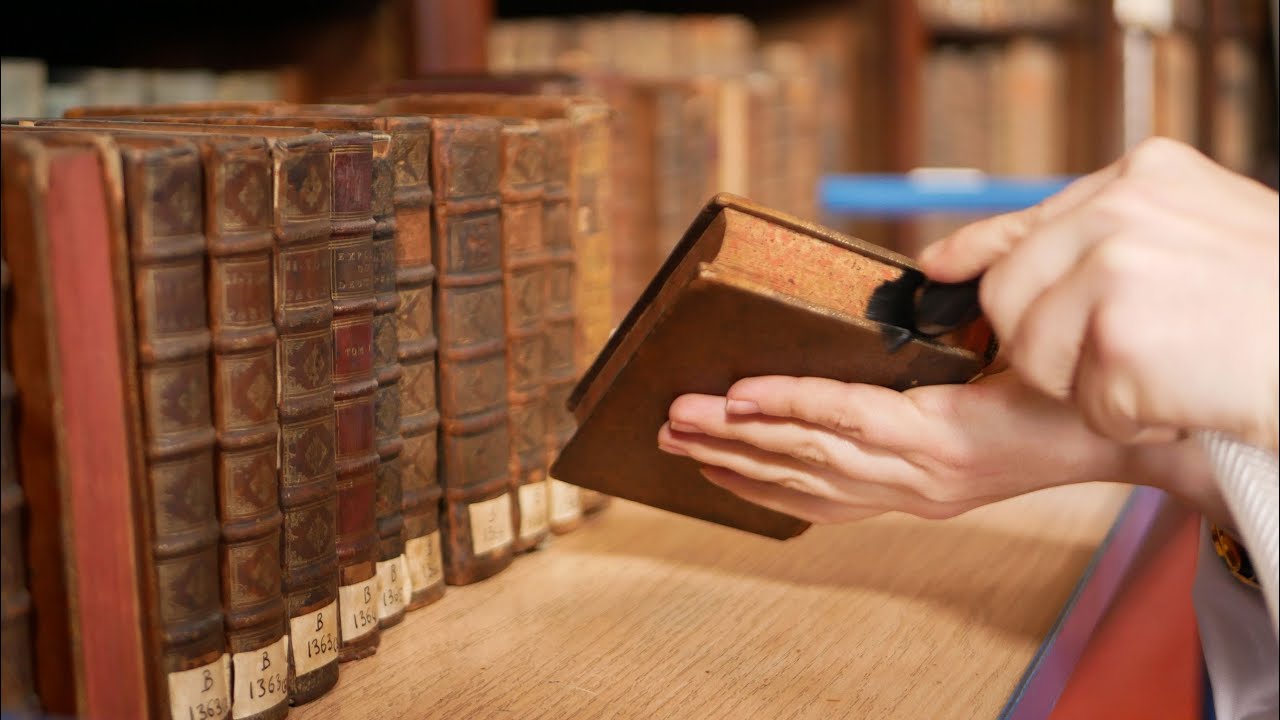 Campagne de préservation 2023 de la Bibliothèque patrimoniale