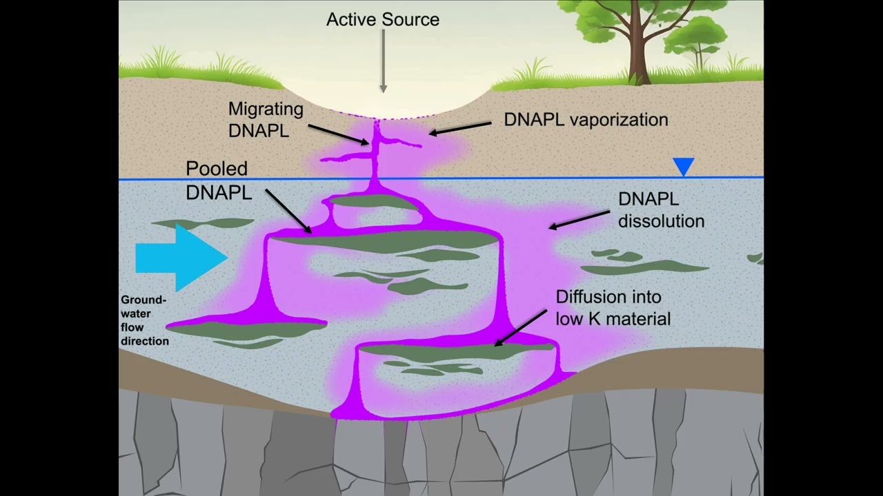 Life Cycle of a DNAPL Spill