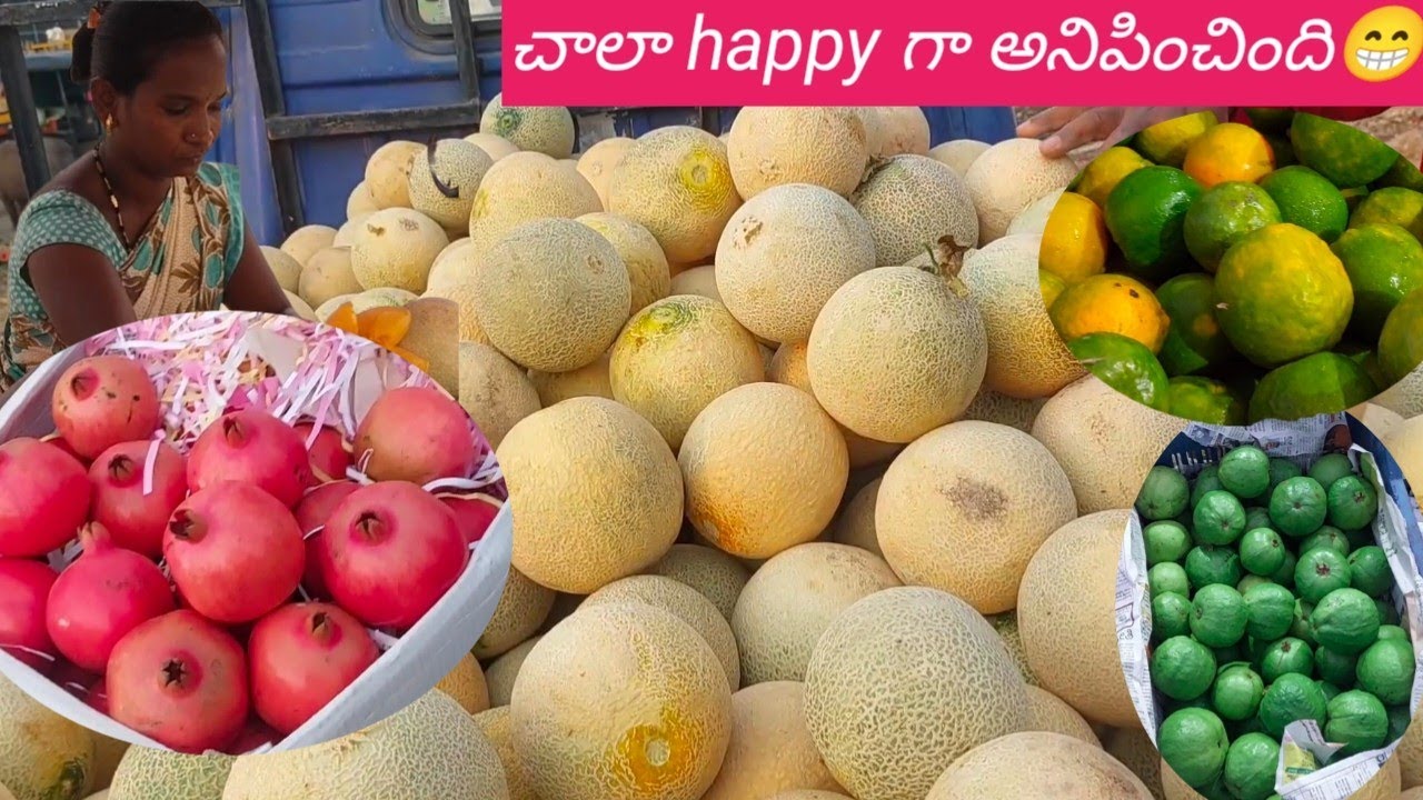 చాలా happy gaa anipinchindi/fruits business/muskmelon/priyavenkys world