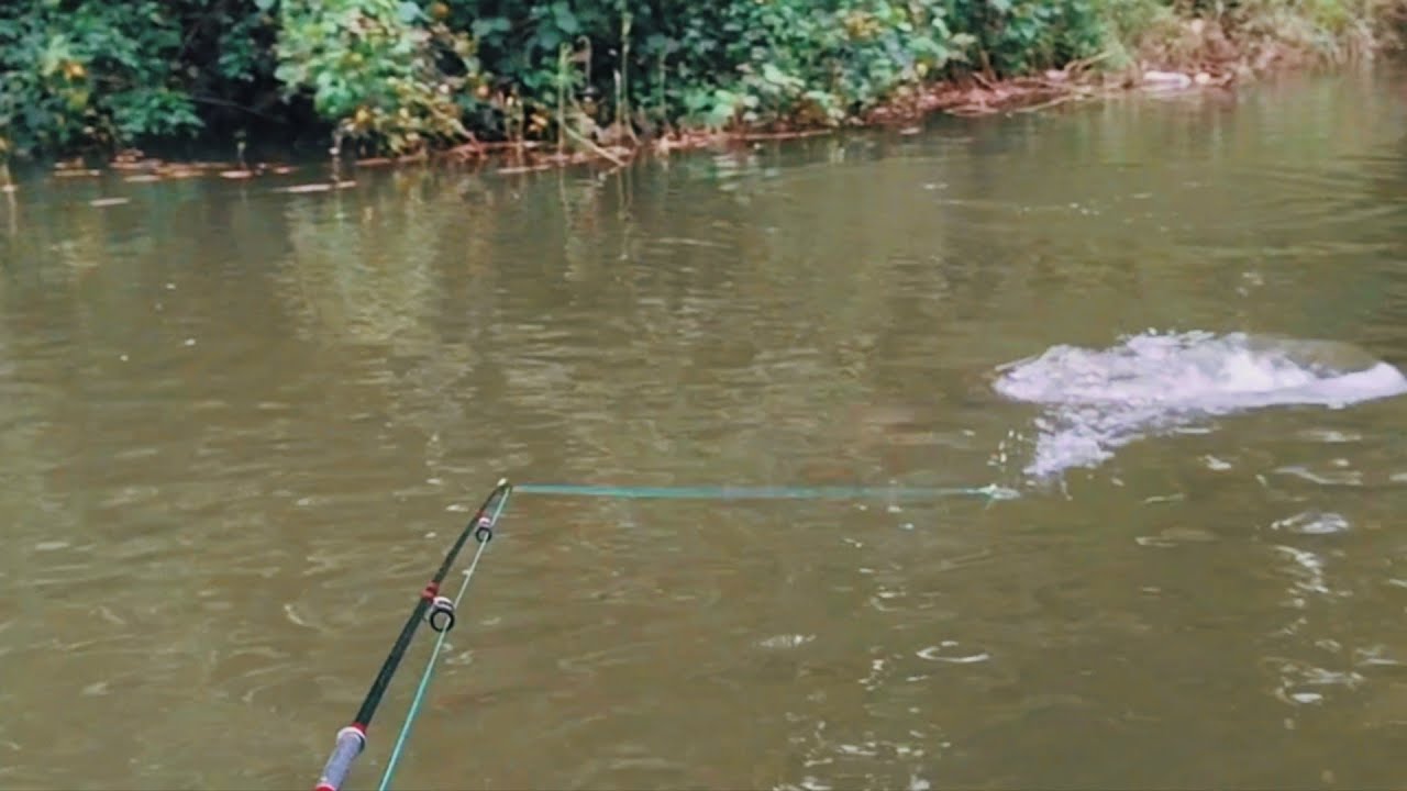 പുതിയ വള്ളത്തിൽ മീൻ ചാകര | Kerala Village Fishing