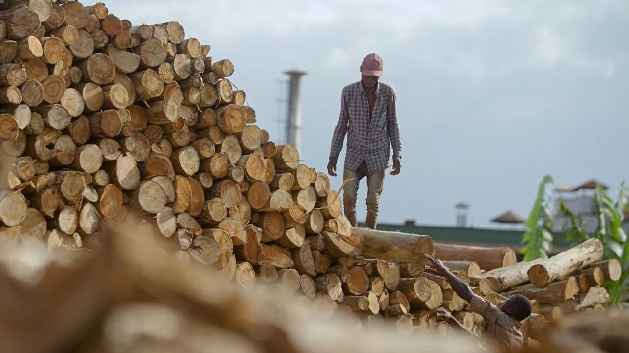 Biodiversity credits for nature restoration in Uganda
