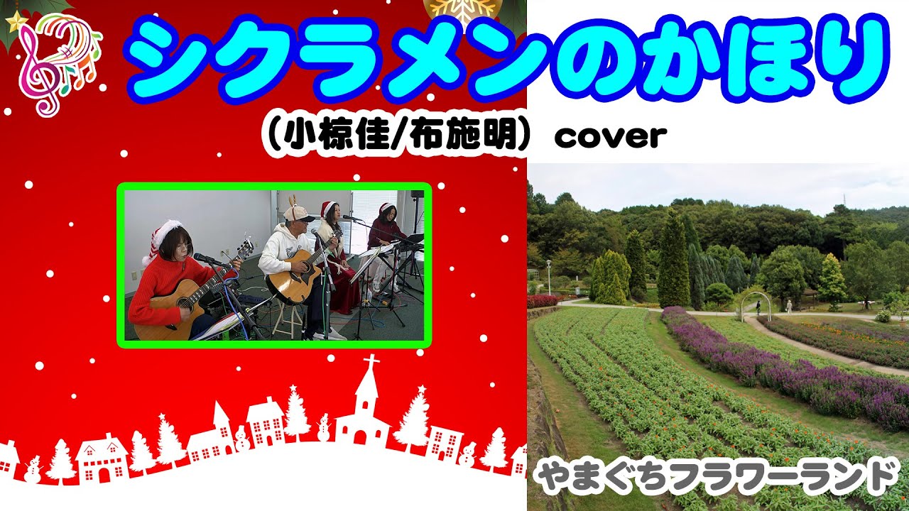 シクラメンのかほり（小椋佳/布施明）　cover @oto-ebox  ​