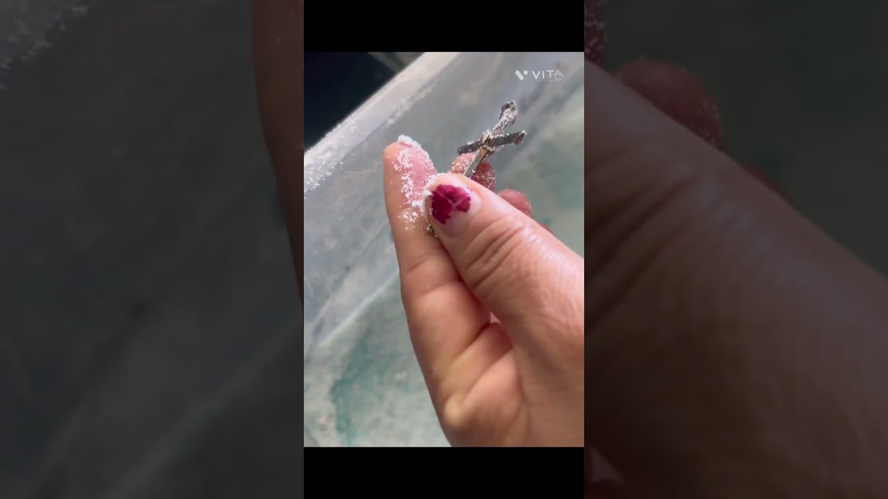 #Cómo limpiar tu joyería  de plata 💍 en casa y con detergente en polvo ￼