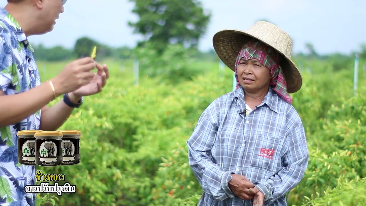 เรื่องของผม (ช้างสยาม ) Ep.47  สวนพริกกะเหรี่ยง จ.กาญจนบุรี