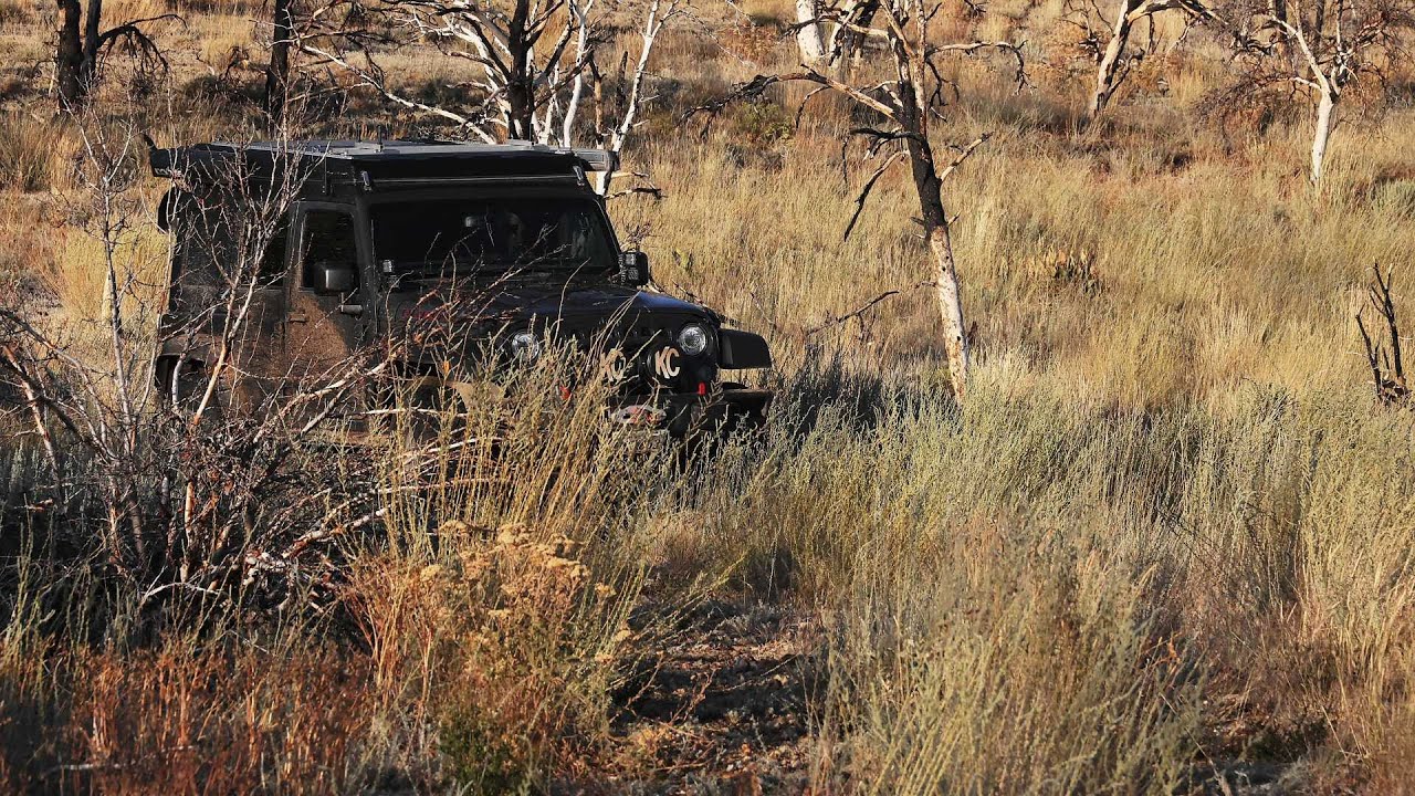 Монтажные работы DigitalByDoiron, 2025 год