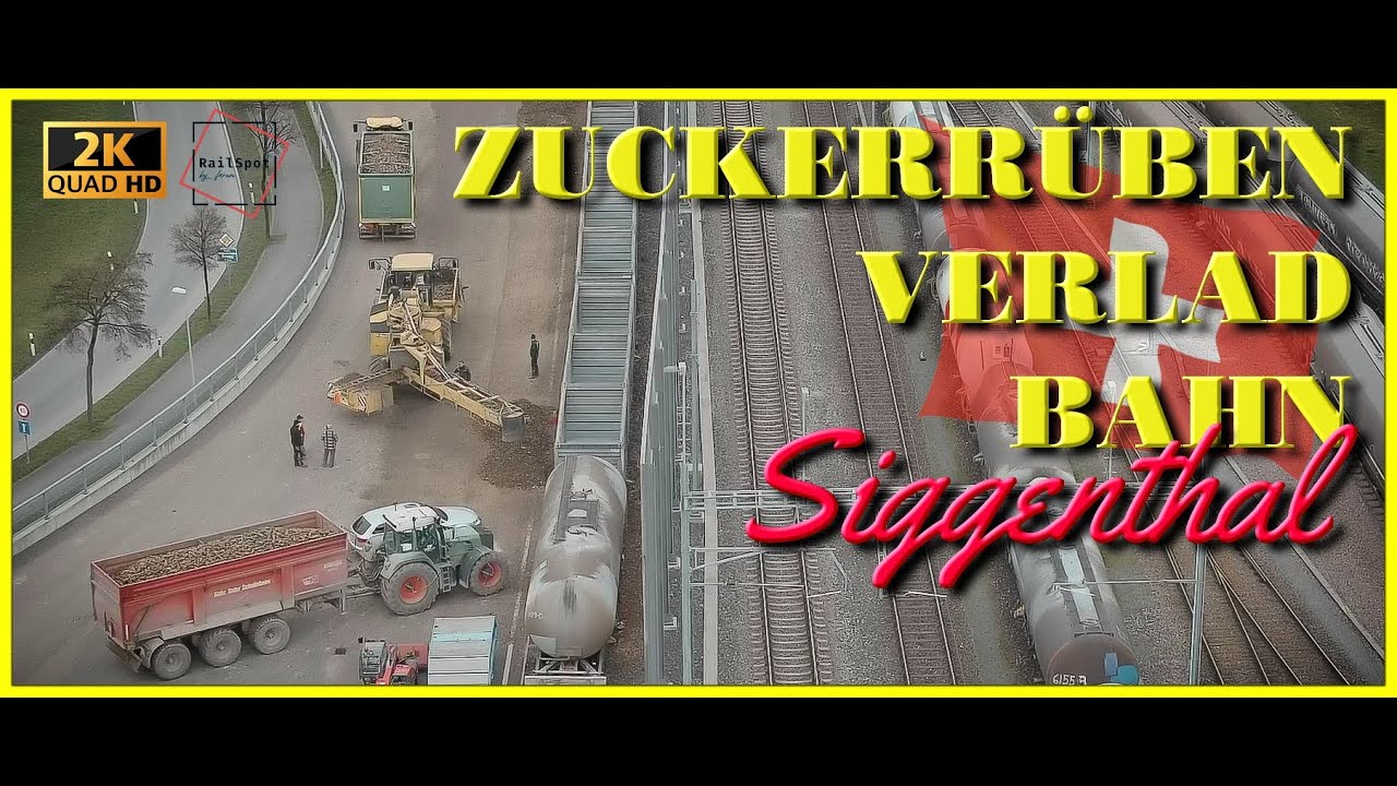ZUCKERRÜBEN per BAHN . 12.2022 VERLAD SIGGENTHAL  AG   [2K | UWQHD]