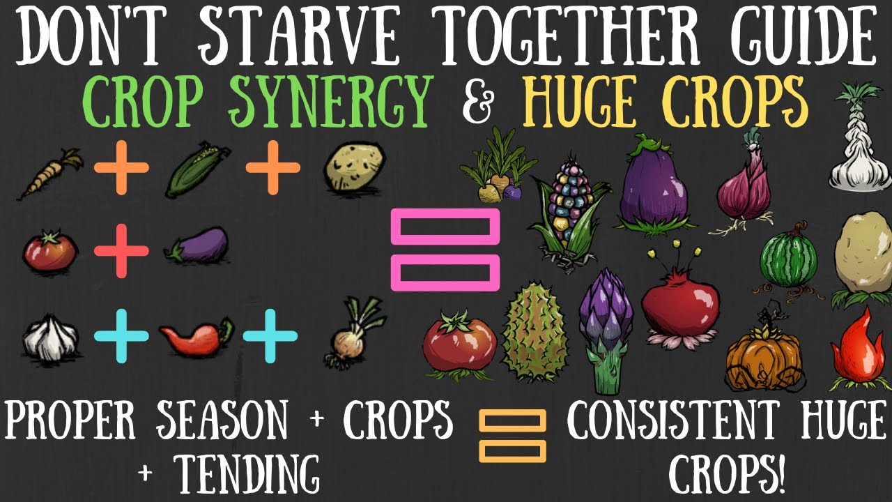 Best Crop Combinations For BIG Crops - Don't Starve Together Guide [REAP WHAT YOU SOW UPDATE]