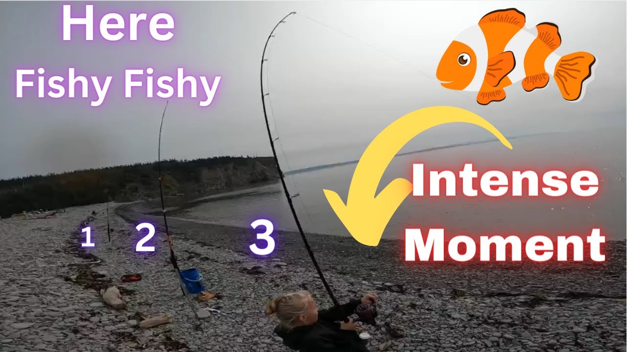 Striped Bass Fishing Monsters Bay Of Fundy Cape Enrage