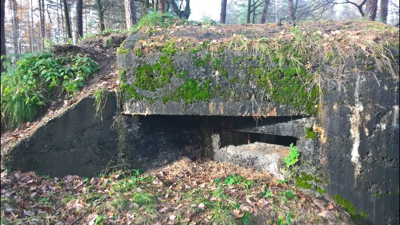 Bunkry z czasów wojny przetrwały do tej pory ukryte w Polskich lasach !!