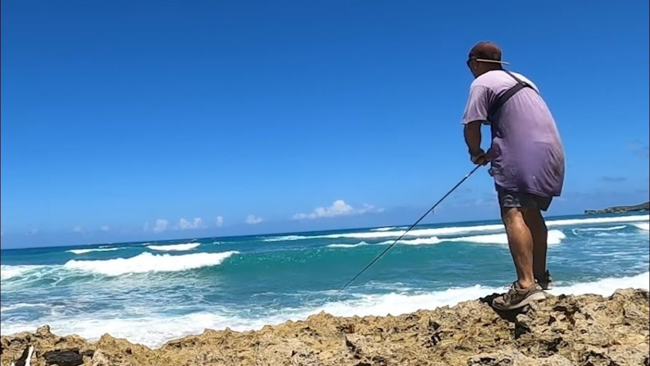 3 días pescando y comiendo pescado crudo en REPÚBLICA DOMINICANA, turismo PUNTA CANA. pesca urbana