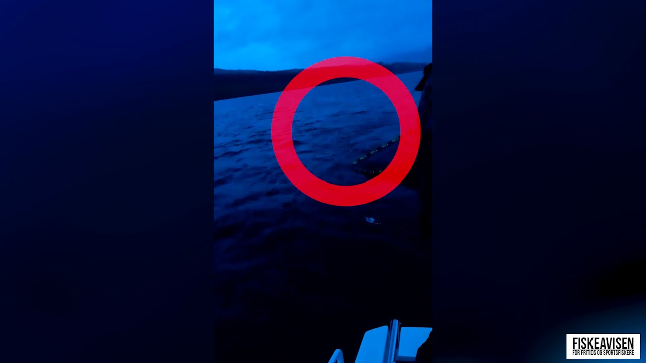 Håven knakk da storørreten skulle håves - Mjøsa