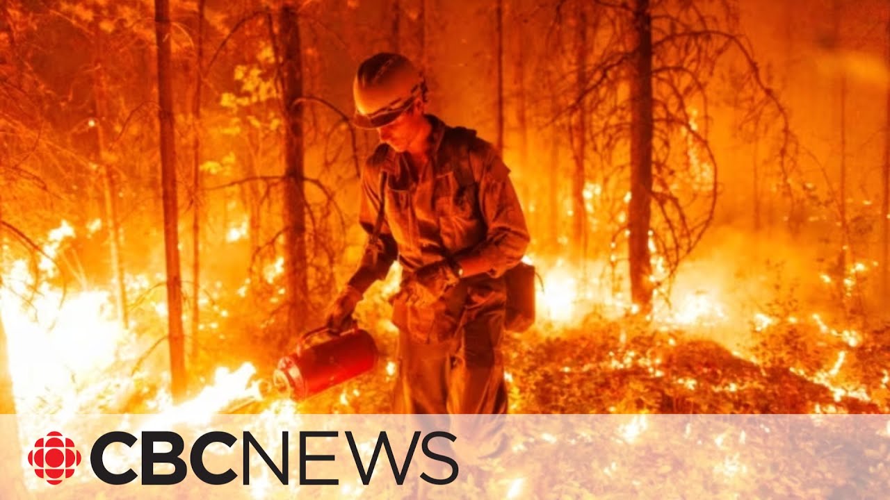Military mobilized to help in B.C. wildfire fight