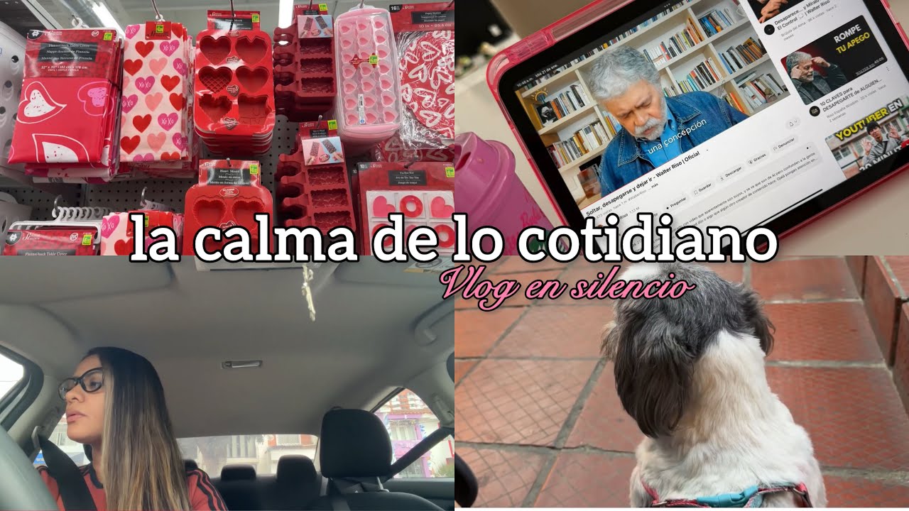 La calma de lo cotidiano | Mi dia paso a paso 🛍️👦🏻☕️