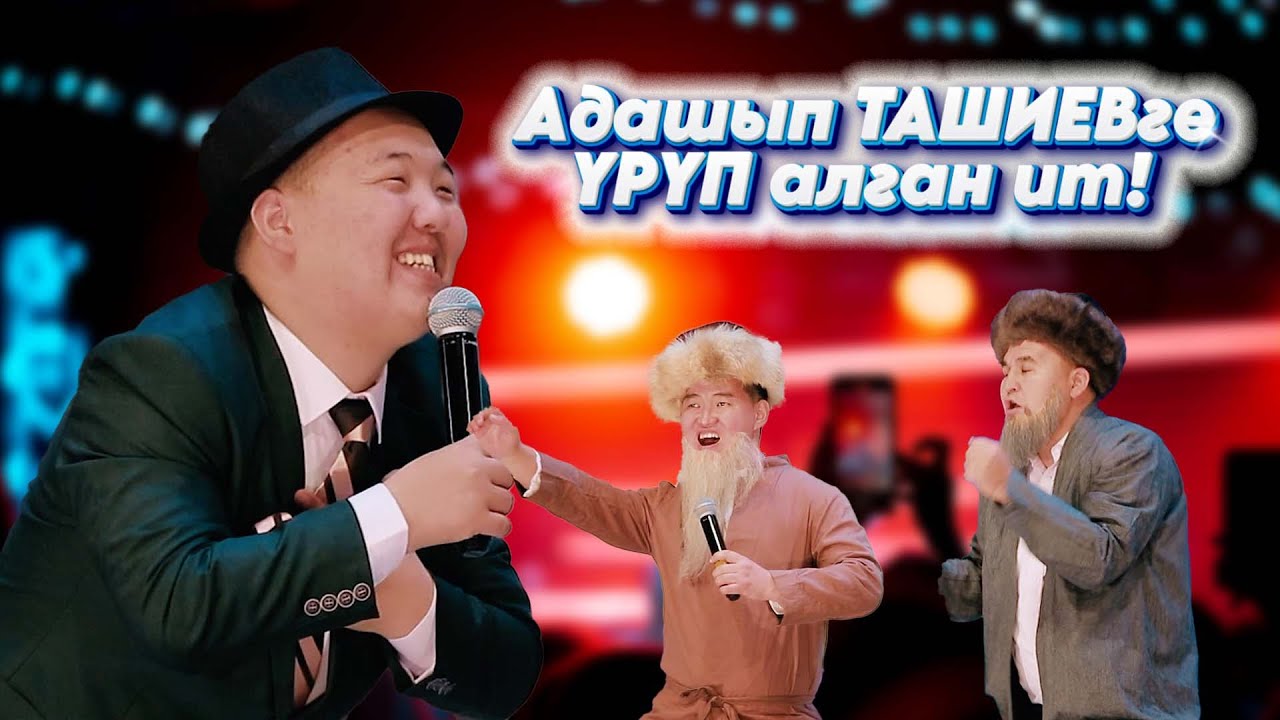 Адашып Ташиевди үрүп алган ит // УНИВЕРСАЛдан эң мыкты тамаша 2025