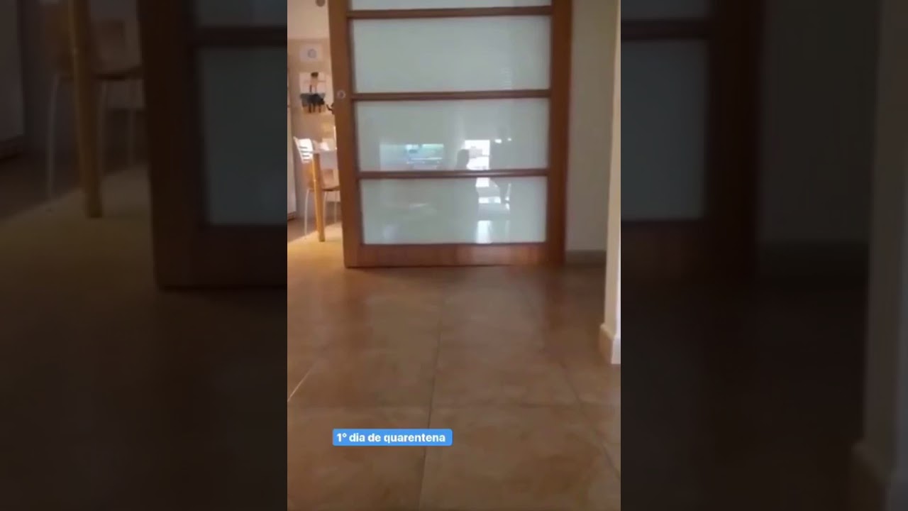 Dom&aacute;c&iacute; sport