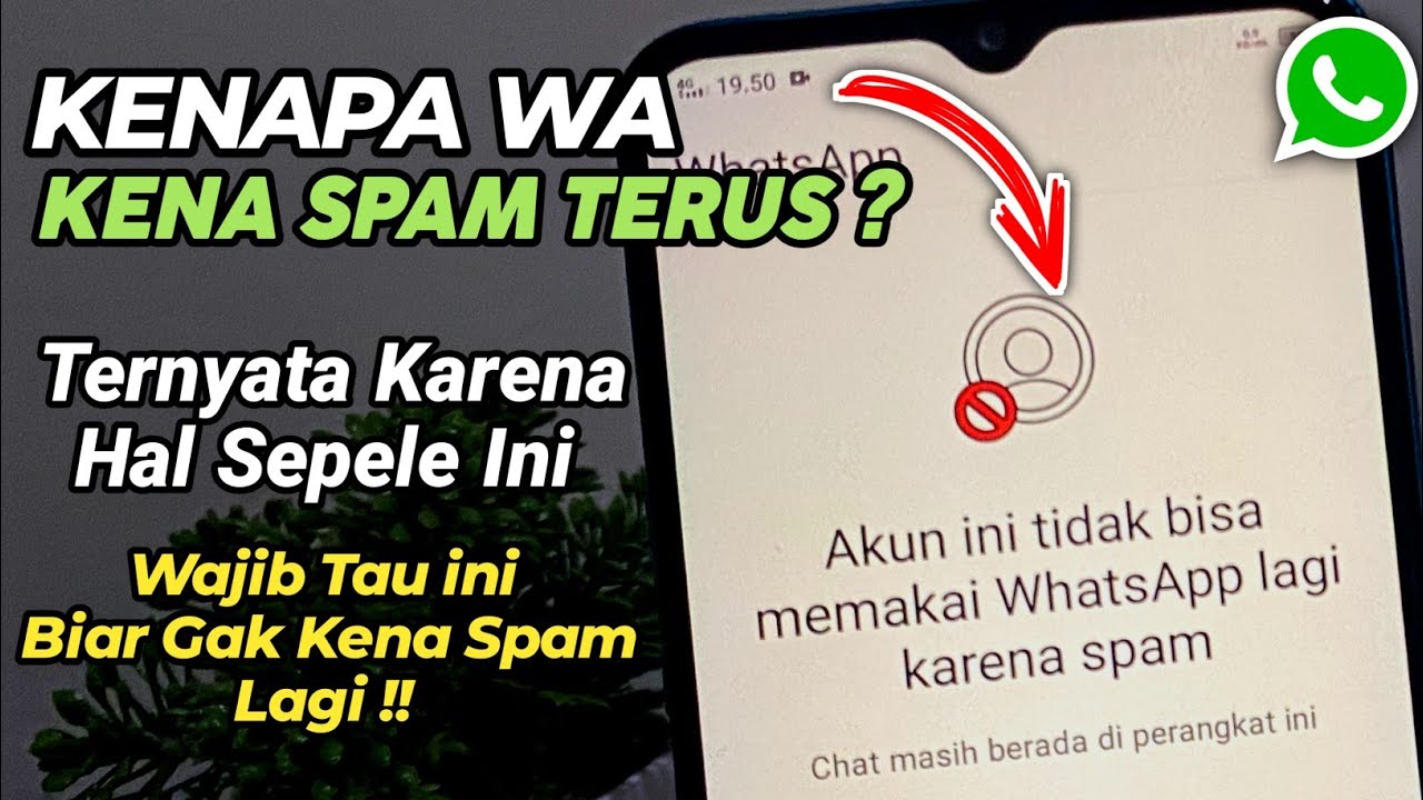Kenapa Wa Kena Spam Terus ? | Penyebab Wa Kena Spam Berkali-kali