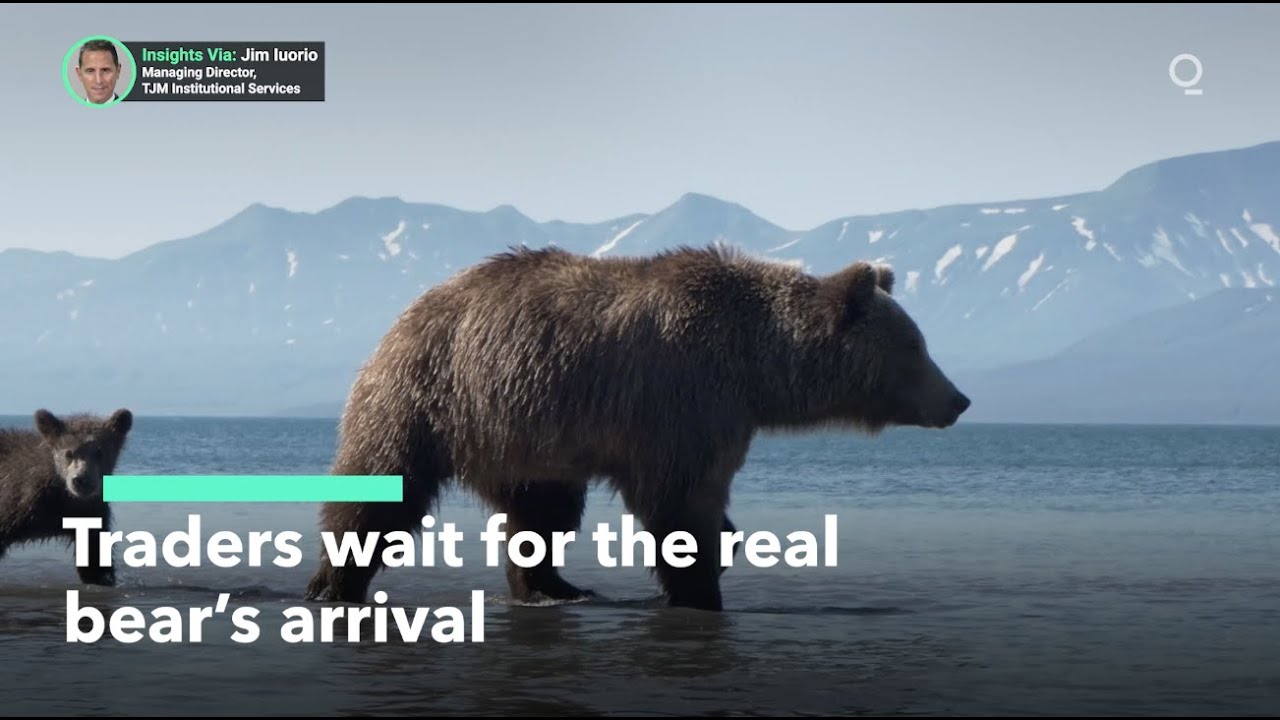 Is the Real Bear Market Still to Come?