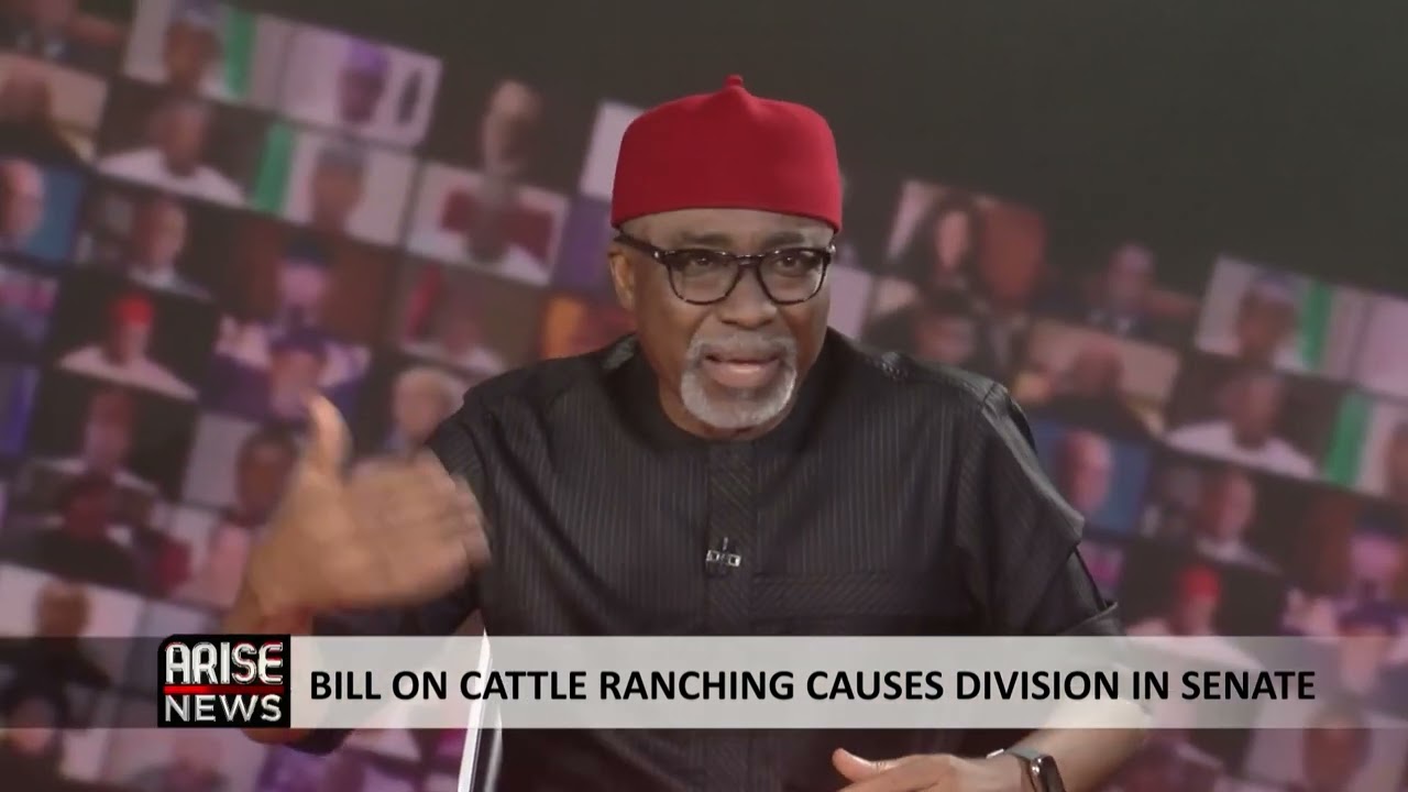 Open-Grazing Bill: People Are Killed if They Don’t Let Cows Graze on Their Land -Abaribe