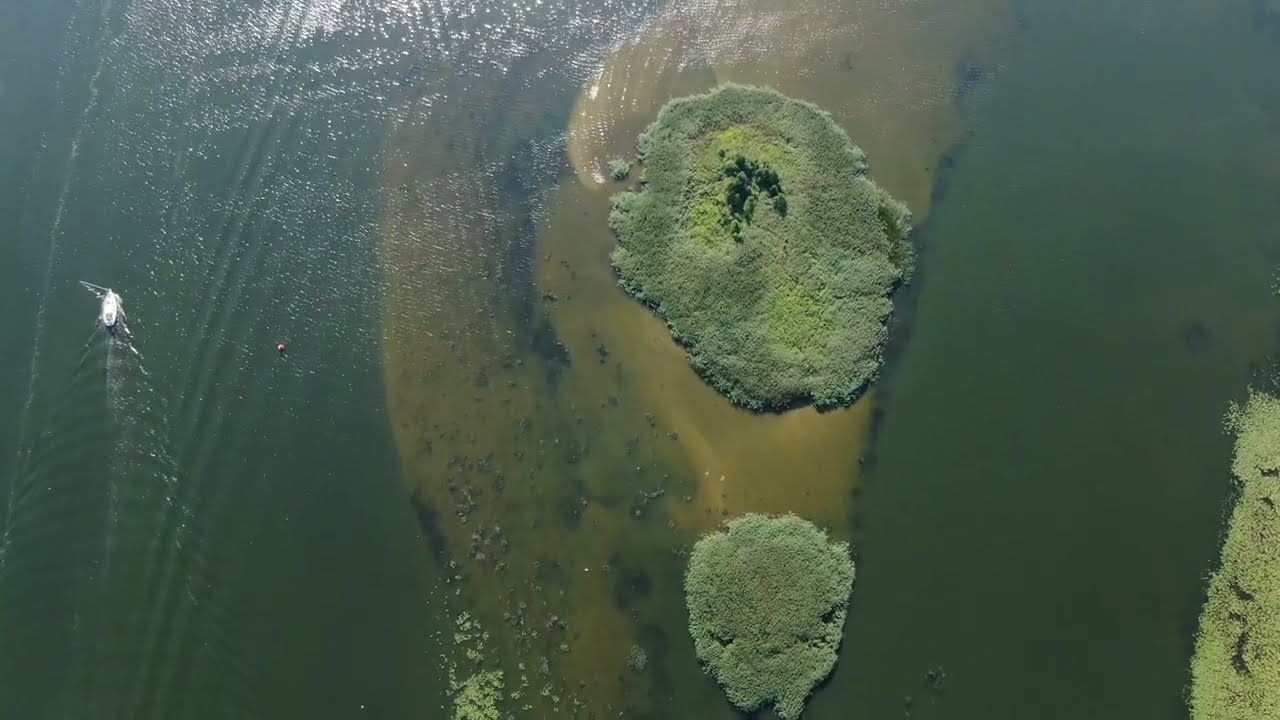 Nemuno delta