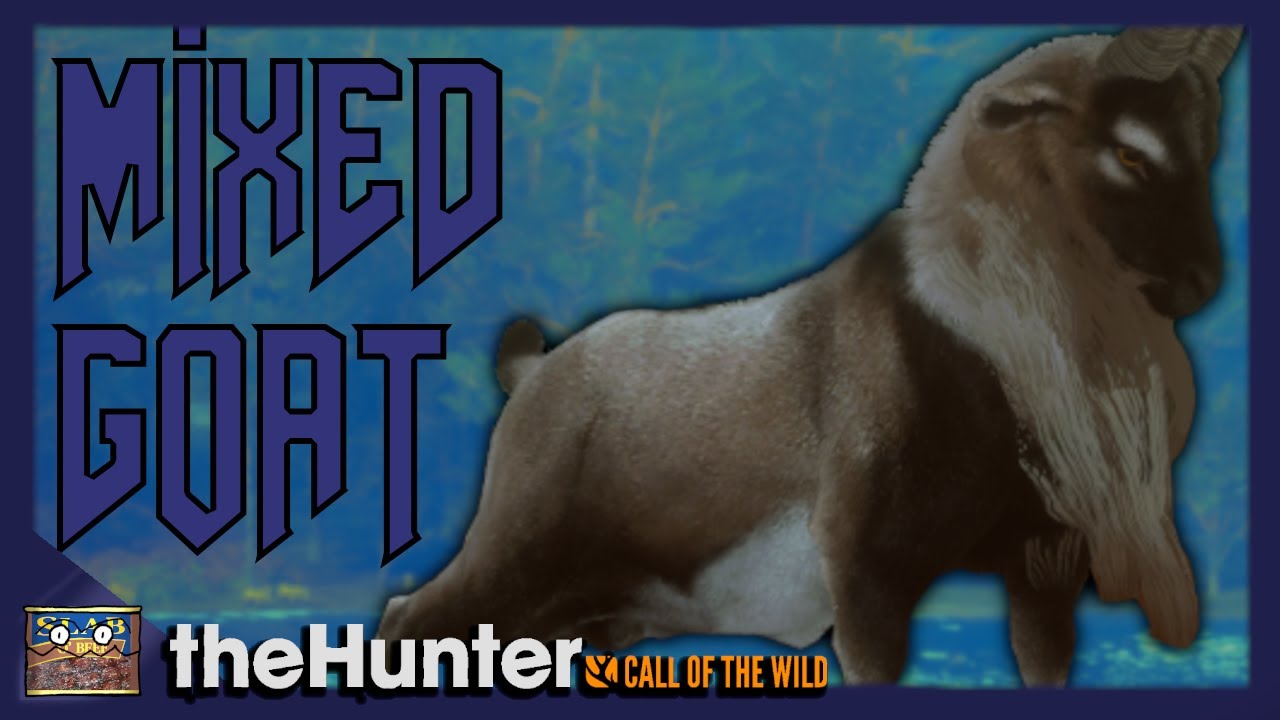 Редкая дикая коза в Шотландии | theHunt: Call of the Wild
