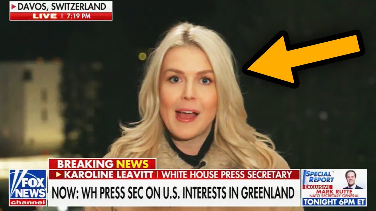 Karoline Leavitt tries to defend Trump, FAILS HARD