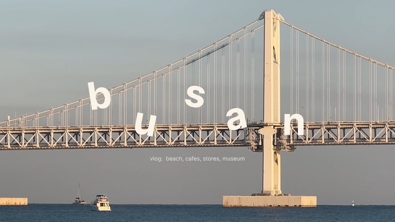 living in busan: daily vlog 🫐