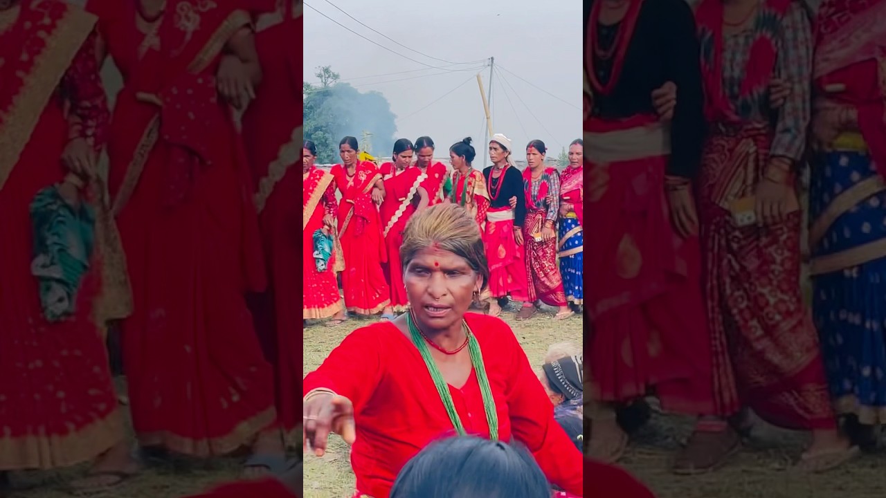 महिला देउडा। मैसरा नेपाली vs नारु नेपाली #chakrabahadurbista #chakrabistaa #deudakhel