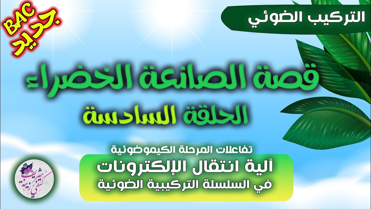الحلقة الأخطر🔥الهروب🫢الحلقة 6 من التركيب الضوئي☘️ اذا لم تشاهدها سيفوتك الكثير😁 |بكالوريا