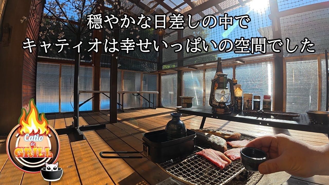 穏やかな日差しの中で猫達と飲む幸せ