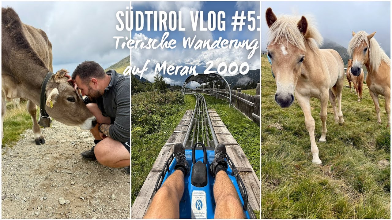 Urlaub in Südtirol Vlog #5: Tierische Wanderung auf Meran 2000