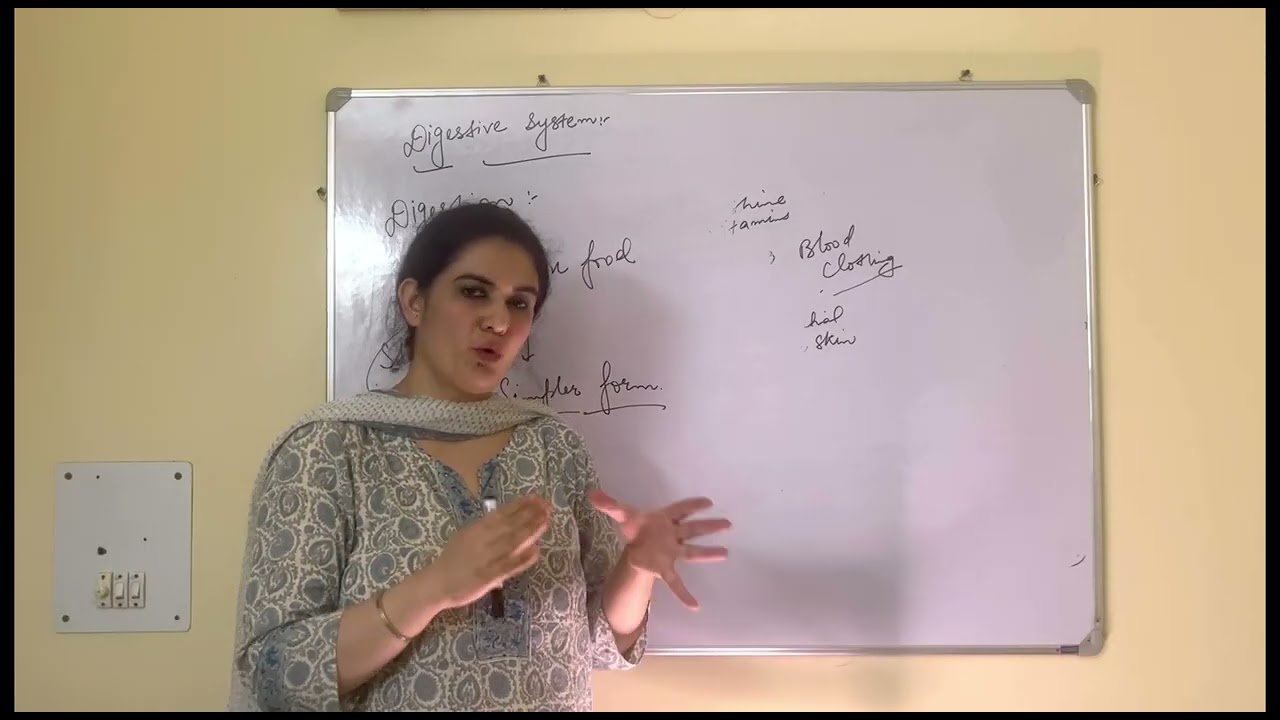 An Introductory Lecture On Digestive System Class 12th 