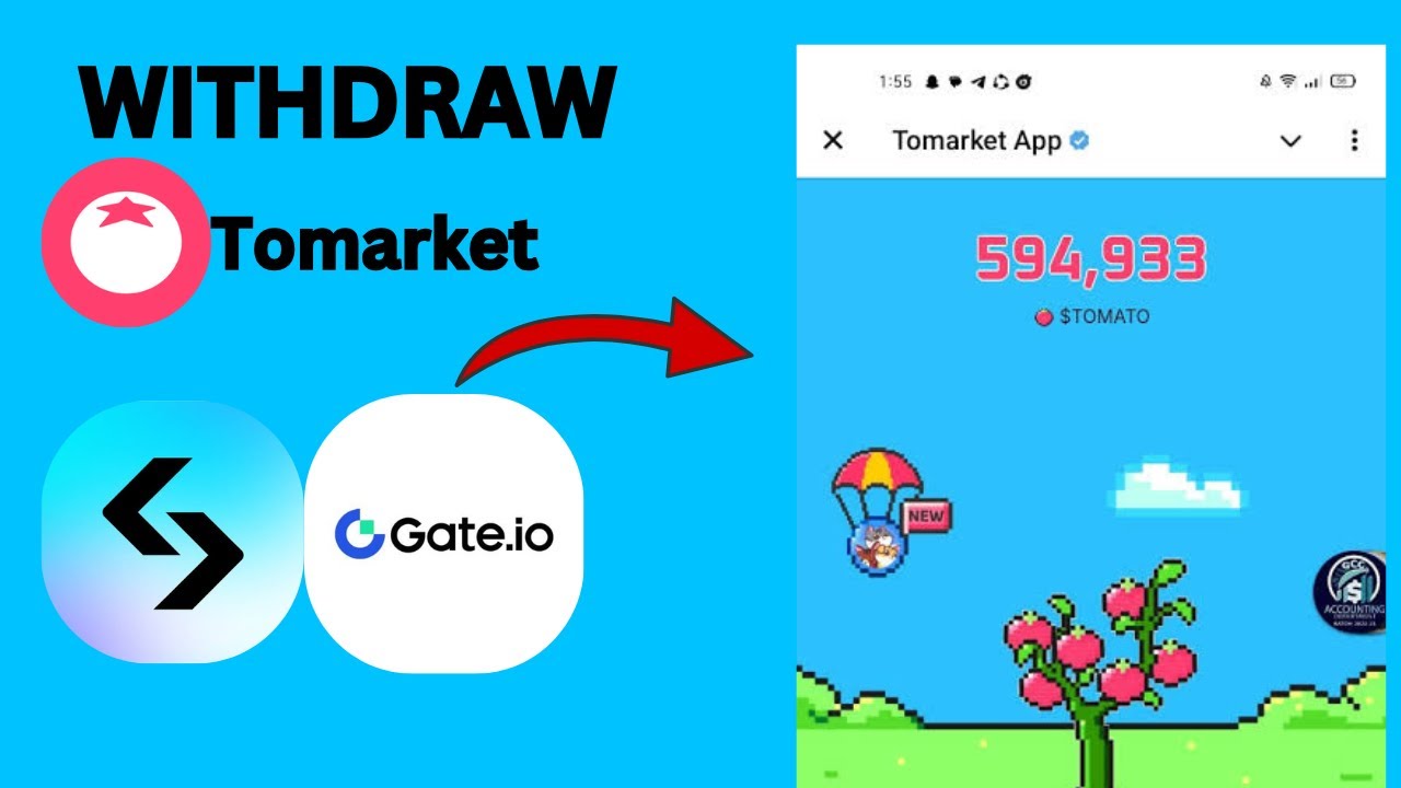 How to Withdraw TOMARKET Tokens To CEX | Gate.io | Bitget | Full Method