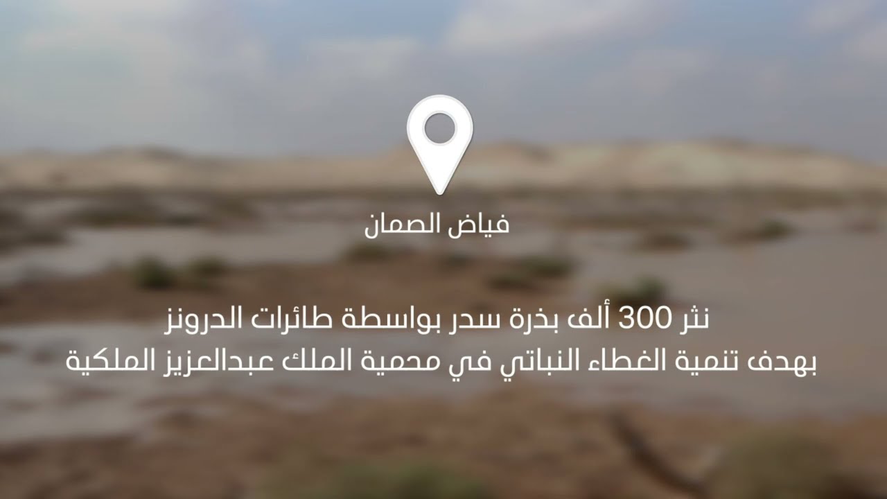 نثر 300 ألف بذرة سدر في فياض الصمان بواسطة طائرات الدرون