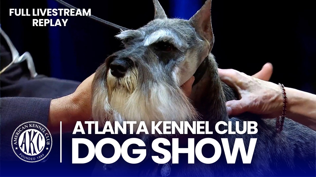 2026 Atlanta Kennel Club Dog Show | Full Event Replay