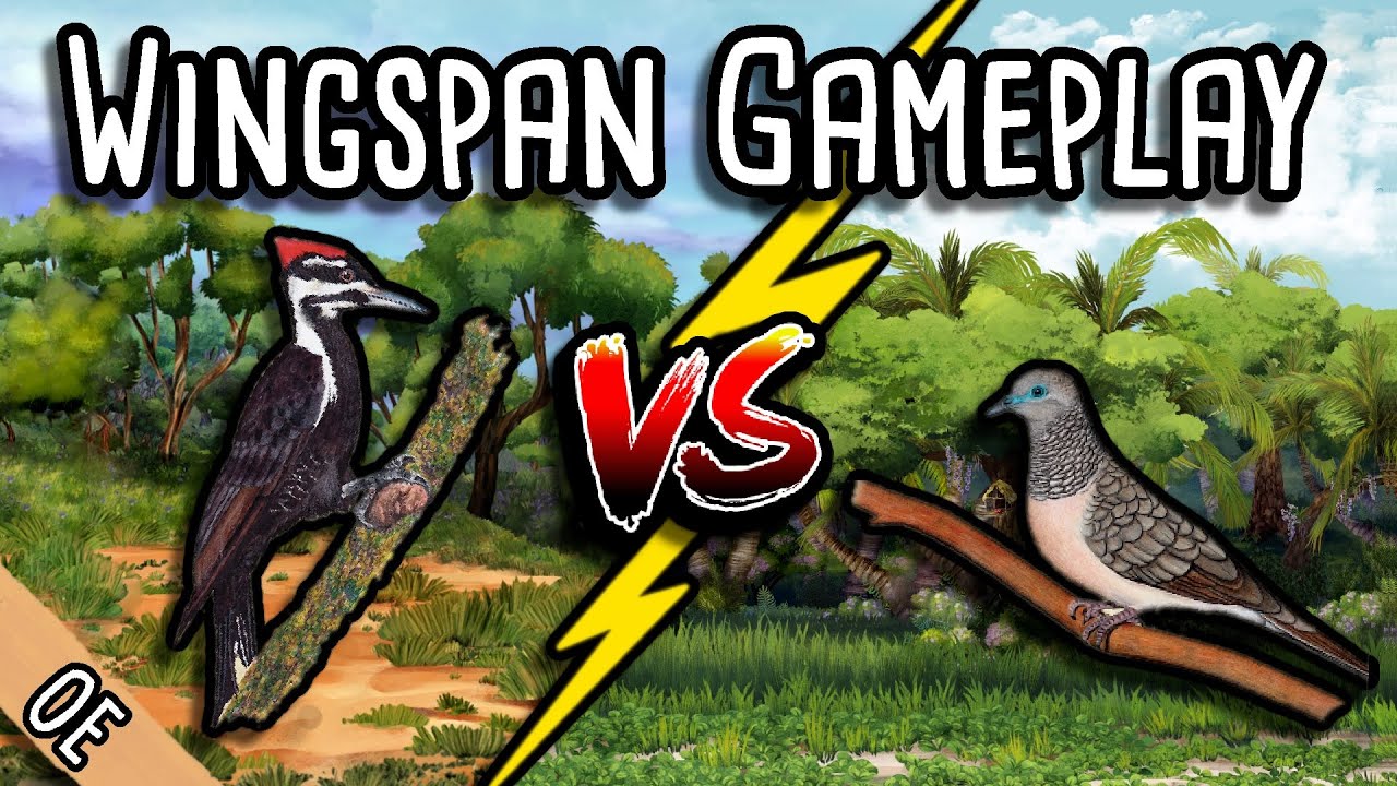 Wingspan Gameplay | Forest Egg Showdown!