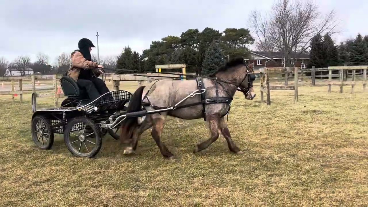 Further development novice driver