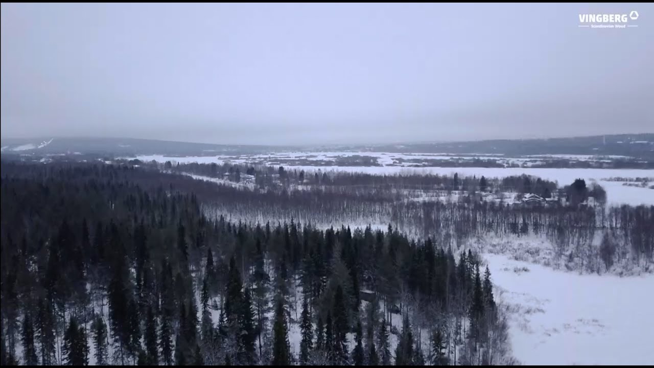 Wyprawa do Laponii 2020.Opowieść o drewnie VINGBERG/VINGBERG Expedition to Lapland.The story of wood