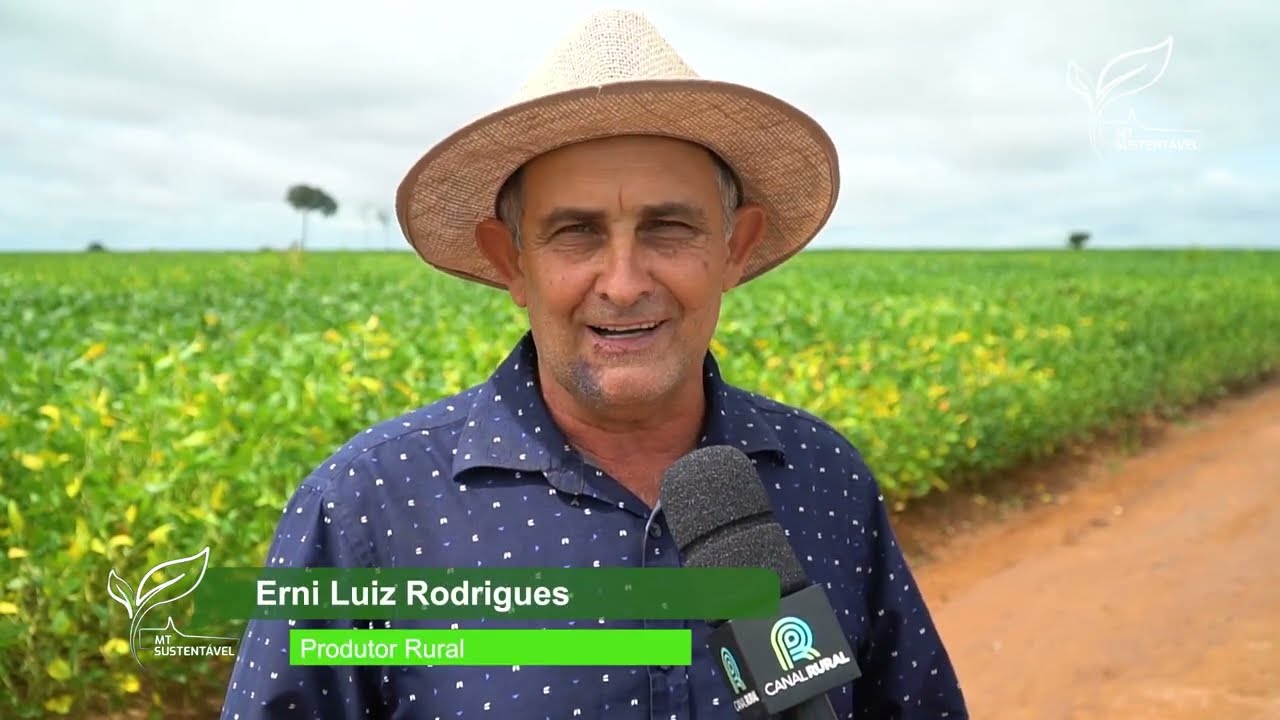 As vantagens no uso de drones para pulverização de lavouras | MT Sustentável ep. 9 | Canal Rural