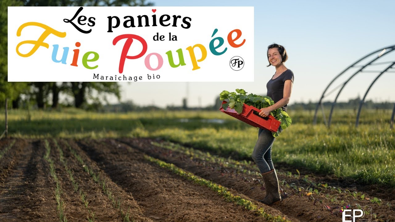 Les paniers de la fuie poupée: Une micro maraichère s'installe à Teloché