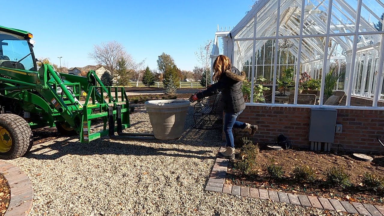 Filling Up a Bunch of Containers with Tulips (+ Tree Delivery)! 🌷🌲🪴 // Garden Answer