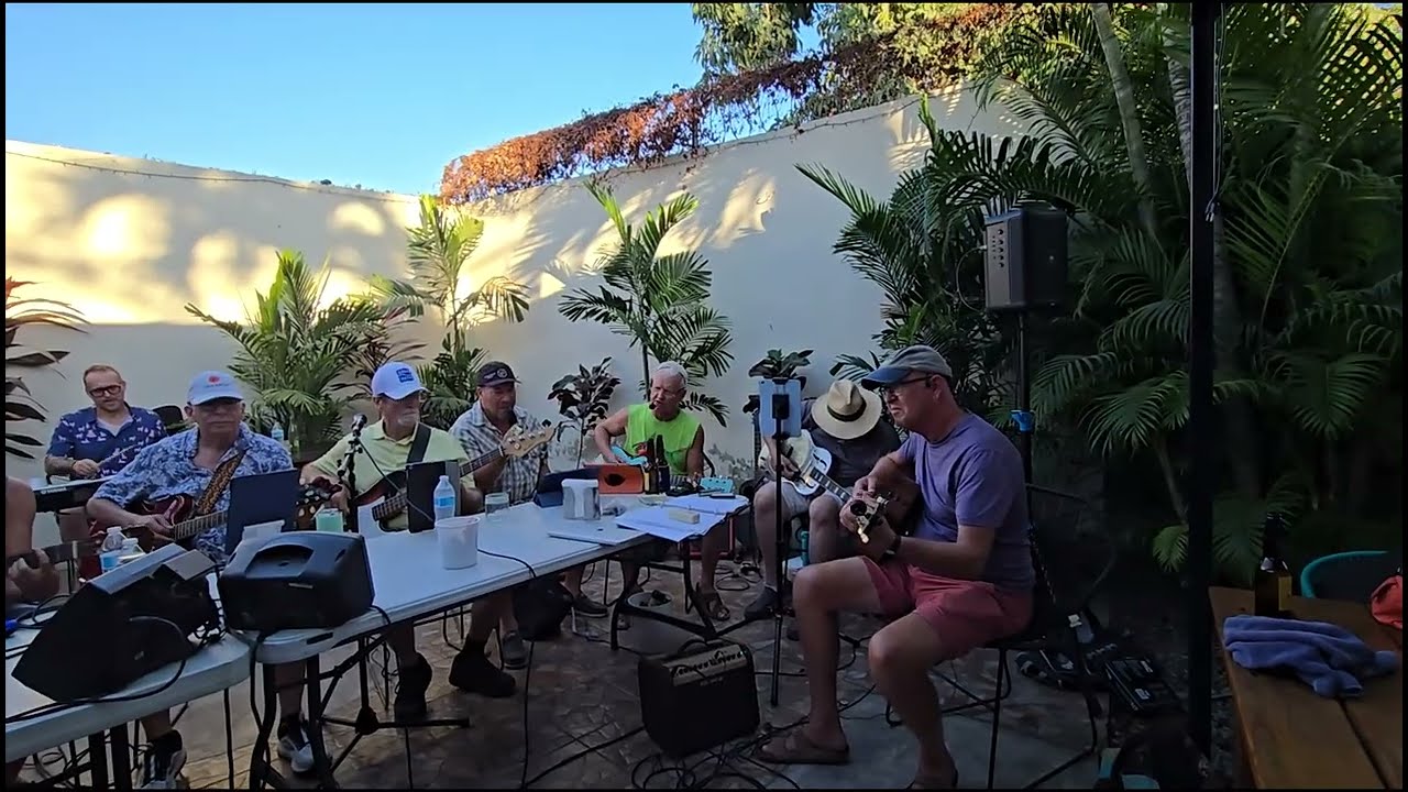 Cover of I knew the Bride (When She Used to Rock and Roll) by Nick Lowe - Performed by Lloyd