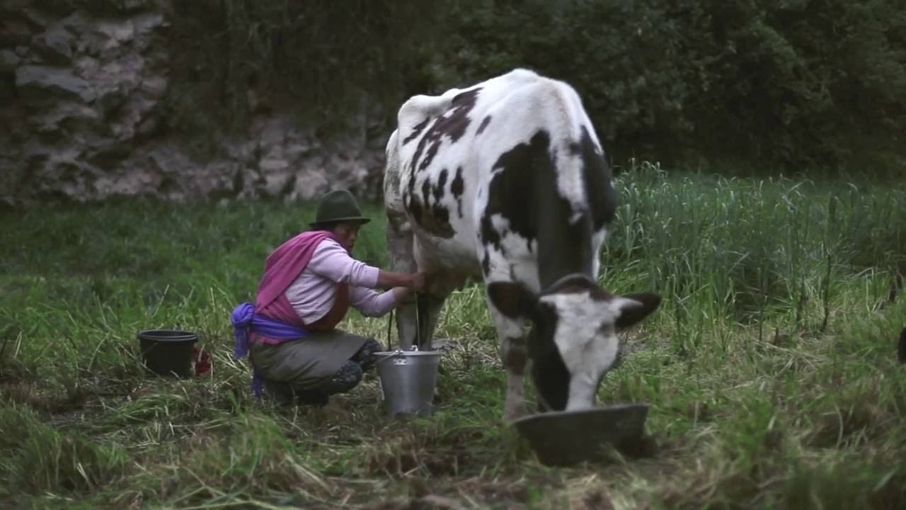 Leche con dignidad
