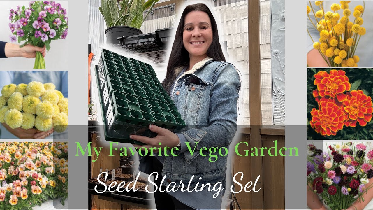 🌱 SEED STARTING | My favorite Vego seed starting set | #VegoSeedStarting 🪴